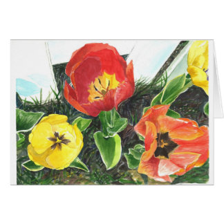Honey bee's view of tulips of late spring