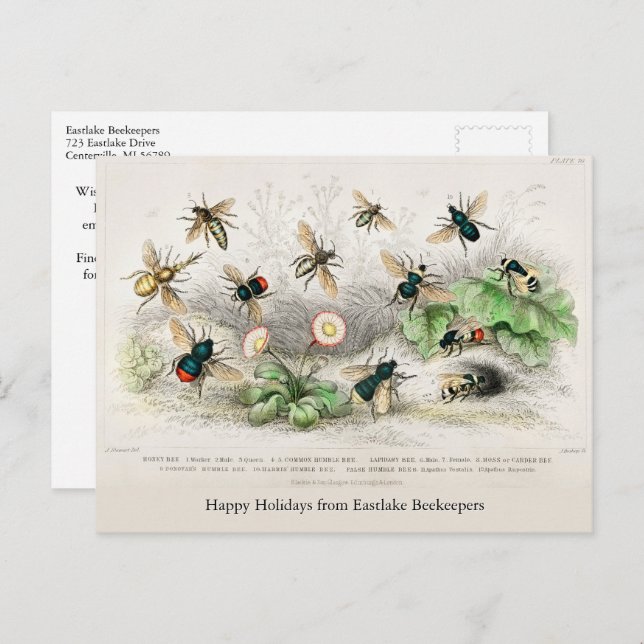 Honey Bees Vintage Holiday Postcard (Front/Back)