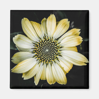 Honey Blossom Yellow Coneflower Magnet