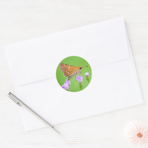 Honey Collector Classic Round Sticker
