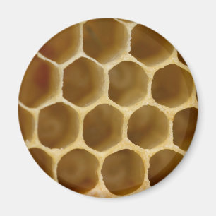 Honey Comb Magnet