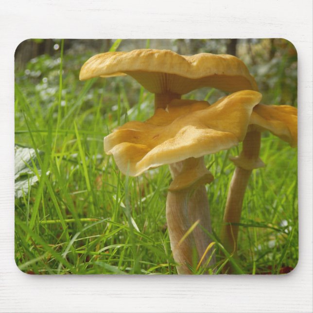 Honey Fungus Mouse Mat (Front)