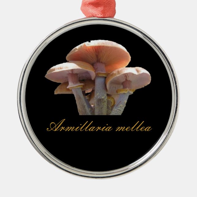 Honey mushroom christmas ornament (Front)