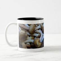 Honey Mushrooms, Apiata, Armillaria,opyenok
