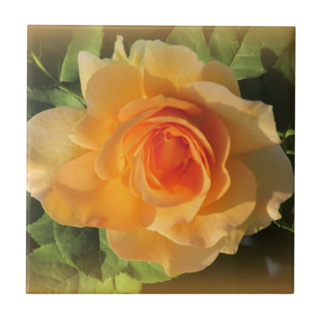 Honey Perfume Rose Tile (Front)