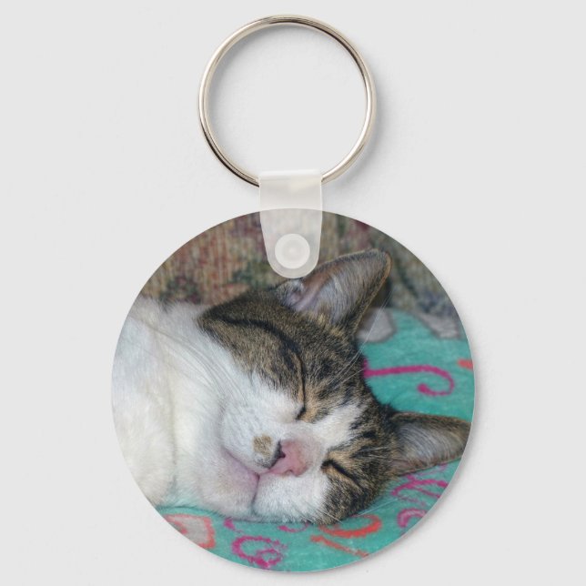 Honey Sleeping Key Ring (Front)