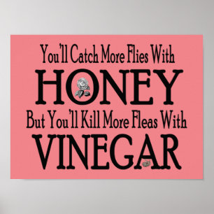 Honey & Vinegar Poster