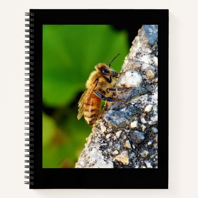Honeybee 8.5x11 Notebook (Front)
