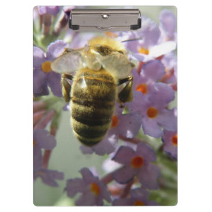 Honeybee and Buddleia Flowers Clipboard