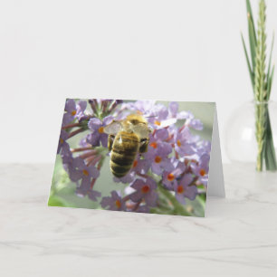 Honeybee and Buddleia Flowers Greeting Card
