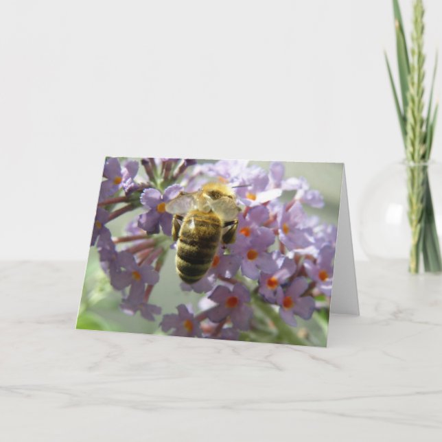 Honeybee and Buddleia Flowers Greeting Card (Front)