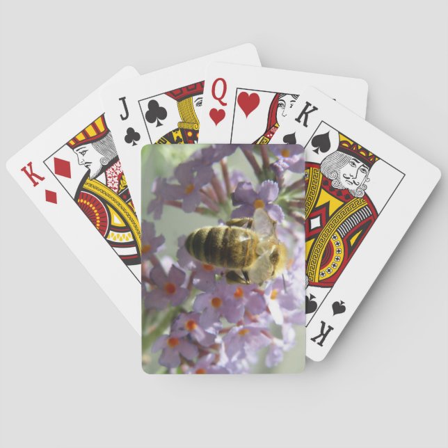 Honeybee and Buddleia Flowers Playing Cards (Back)