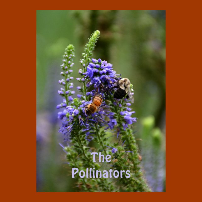 HoneyBee and Bumblebee Pollinators Purple Floral Poster (Creator Uploaded)