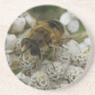 Honeybee and Flowers Coasters