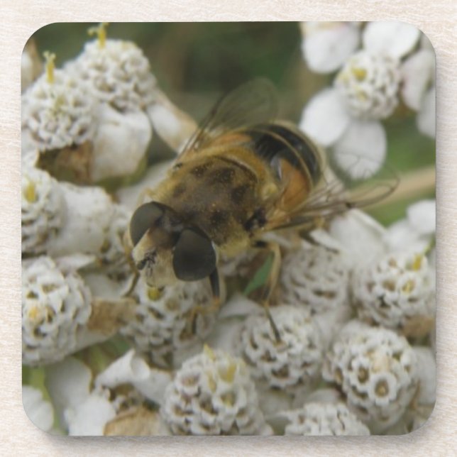 Honeybee and Flowers Cork Coaster (Front)