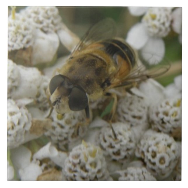 Honeybee and Flowers Tile (Front)