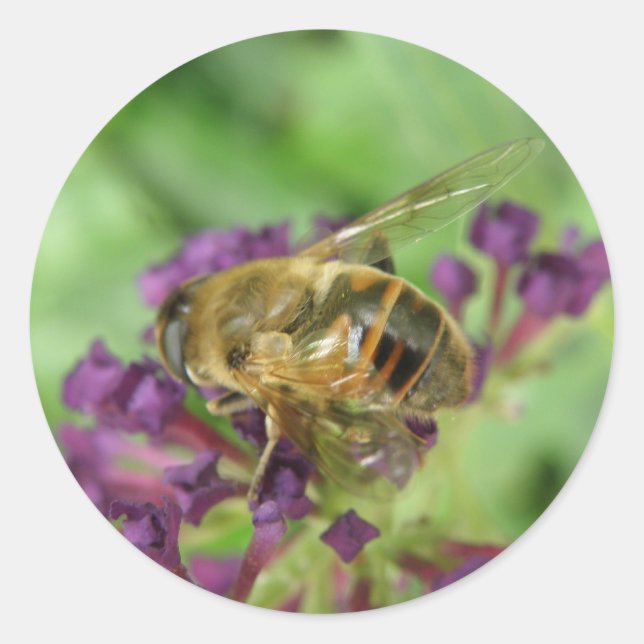 Honeybee and Purple Flowers Stickers (Front)