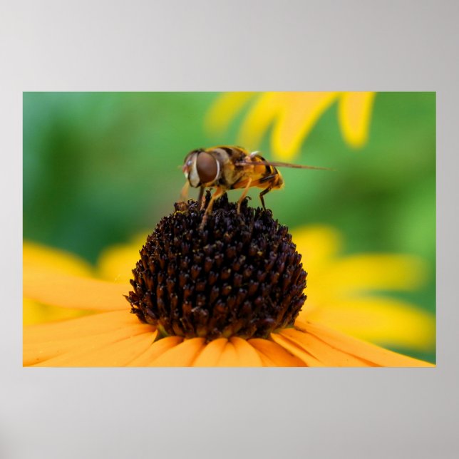 Honeybee at the Centre of Things Poster (Front)