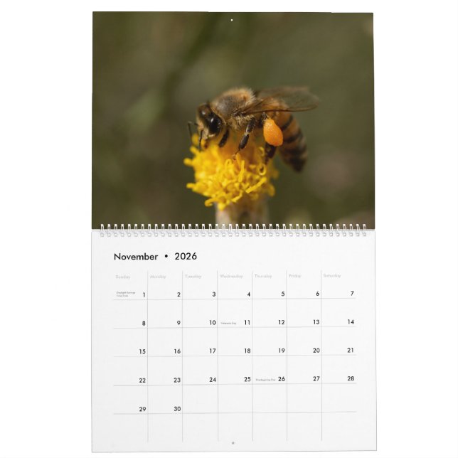 Honeybee  calendar (Nov 2026)