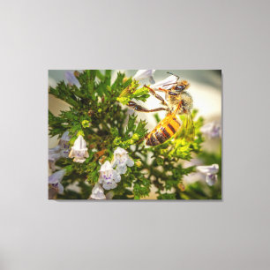 Honeybee Canvas Print Floral Macro Nature Art