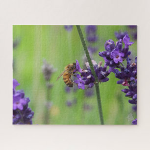Honeybee Harvesting Lavender Blossom Jigsaw Puzzle