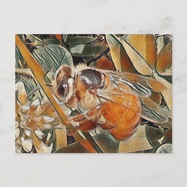 HONEYBEE IN CLOVER - POSTCARD (Front)