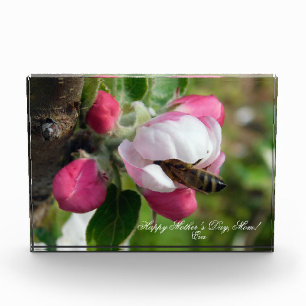 Honeybee in Pink Apple Blossom Custom PhotoBlock