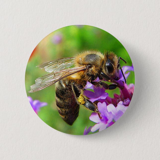 Honeybee on Verbena 6 Cm Round Badge (Front)