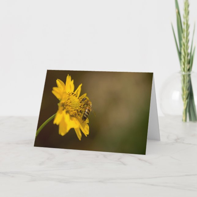 Honeybee on Yellow Flower Card (Front)