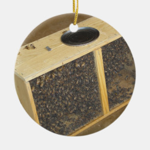 Honeybee Package Ceramic Tree Decoration