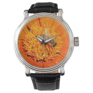 honeybee pollinating flower watch