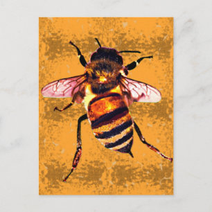 Honeybee Postcard