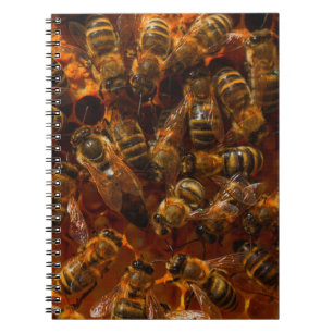 HONEYBEES 7 NOTEBOOK