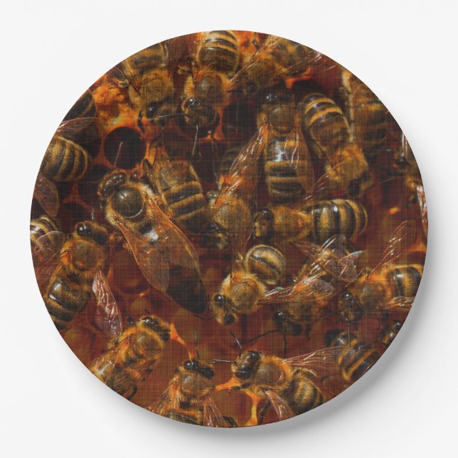 HONEYBEES 7   PAPER PLATE (Front)