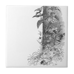 Honeybees Frequent Flowering Mint Tile