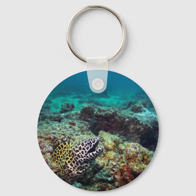 Honeycomb moray eel key ring (Front)