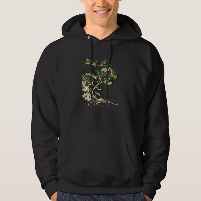 Honeydew Melon Vine Botanical Vector Hoodie (Front)
