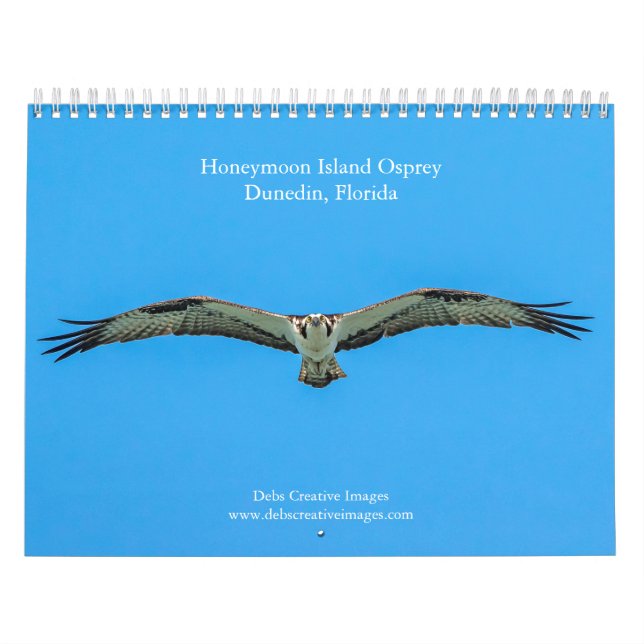 Honeymoon Island Osprey 2026 Calendar (Cover)