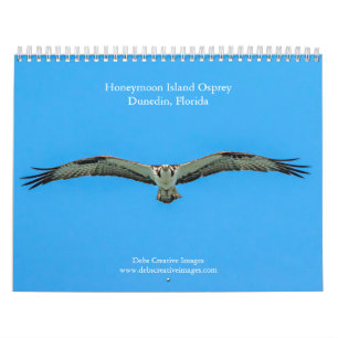 Honeymoon Island Osprey 2026 Calendar