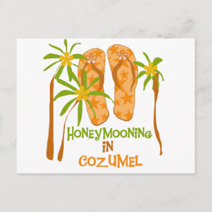 Honeymooning in Cozumel Postcard