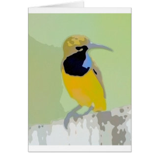 Honeysucker
