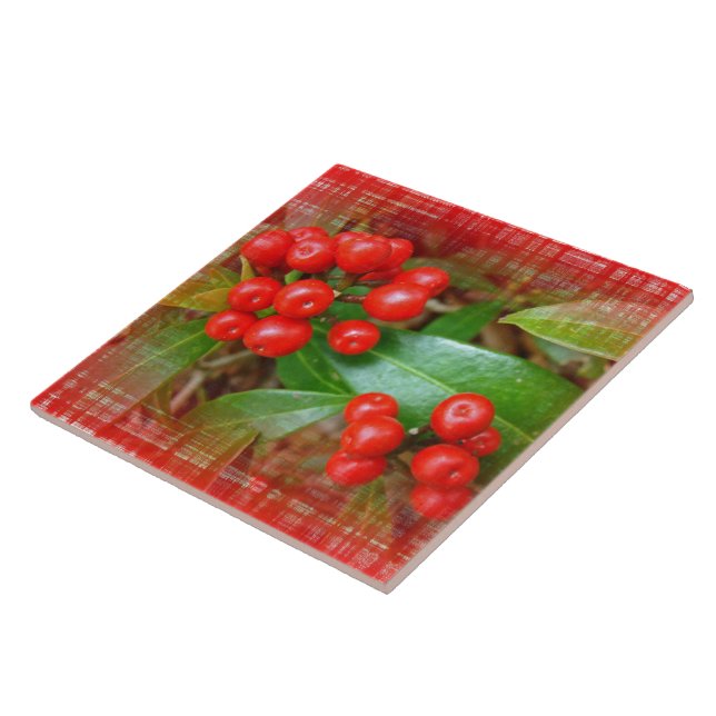 Honeysuckle Berries on Cotton Cloth Tile (Side)