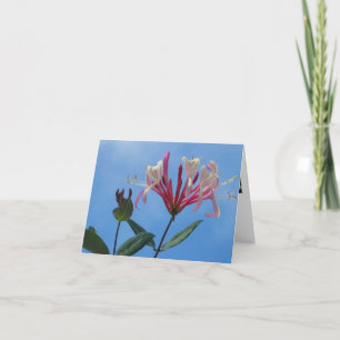 Honeysuckle Blank Note Card