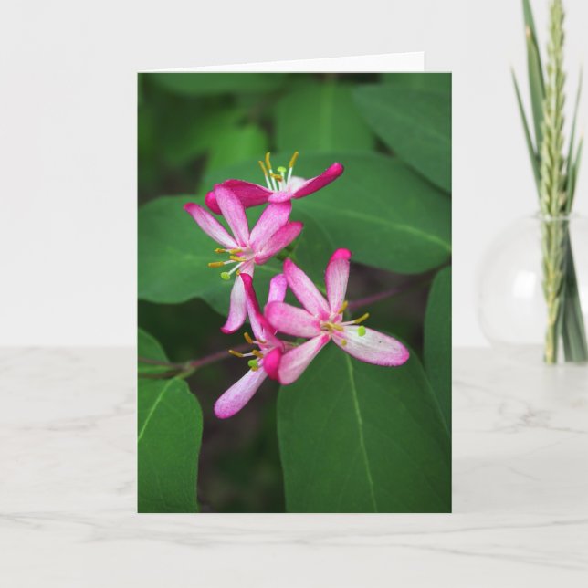 Honeysuckle Blooms Card (Front)
