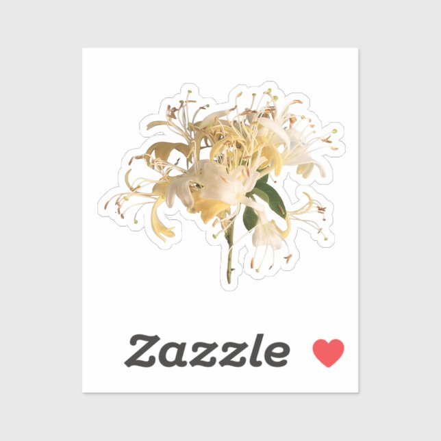 Honeysuckle Flowers \ June Birth flower (Sheet)