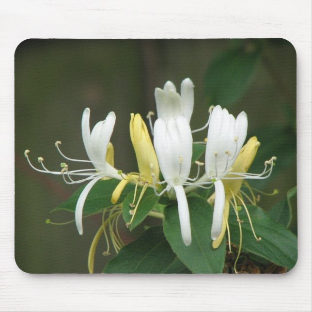 Honeysuckle Mouse Pad (Front)