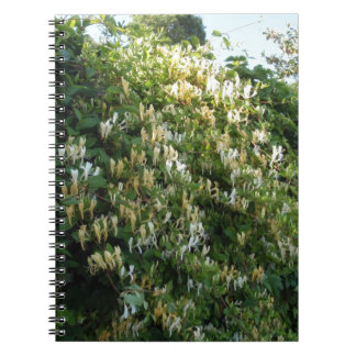 Honeysuckle On A Wall Spiral Notebook