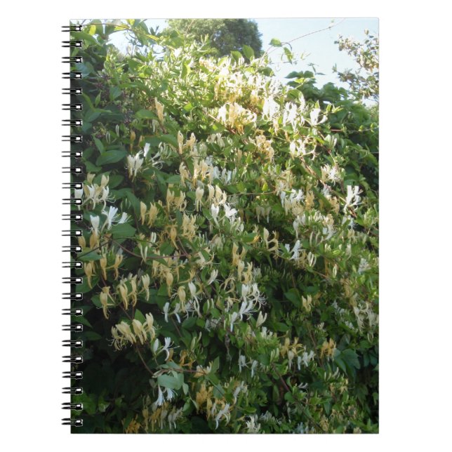 Honeysuckle On A Wall Spiral Notebook (Front)