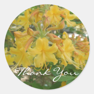 Honeysuckle Thank You Stickers