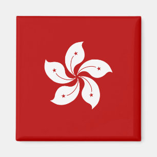 Hong Kong High quality Flag Magnet
